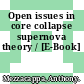 Open issues in core collapse supernova theory / [E-Book]