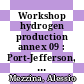 Workshop hydrogen production annex 09 : Port-Jefferson, NY, 08.08.89-11.08.89.