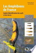 Les Amphibiens de France : Guide d'identification des œufs et des larves [E-Book] /