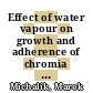 Effect of water vapour on growth and adherence of chromia scales on pure chromium [E-Book] /