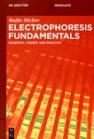Electrophoresis fundamentals : essential theory and practice /
