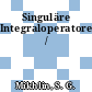 Singuläre Integraloperatoren /