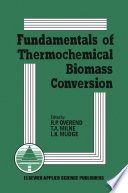 Fundamentals of Thermochemical Biomass Conversion [E-Book] /
