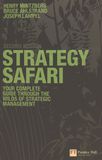 Strategy safari : the complete guide through the wilds of strategic management /