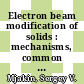Electron beam modification of solids : mechanisms, common features and promising applications [E-Book] /