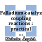 Palladium-catalyzed coupling reactions : practical aspects and future developments [E-Book] /