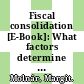 Fiscal consolidation [E-Book]: What factors determine the success of consolidation efforts? /