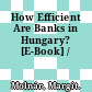 How Efficient Are Banks in Hungary? [E-Book] /