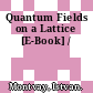 Quantum Fields on a Lattice [E-Book] /