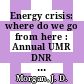 Energy crisis: where do we go from here : Annual UMR DNR conference on energy 0004: proceedings : Rolla, MO, 11.10.77-13.10.77.
