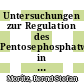 Untersuchungen zur Regulation des Pentosephosphatweges in Corynebacterium glutamicum [E-Book] /