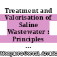 Treatment and Valorisation of Saline Wastewater : Principles and Practice [E-Book]