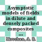 Asymptotic models of fields in dilute and densely packed composites / [E-Book]