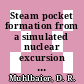 Steam pocket formation from a simulated nuclear excursion in a water-moderated reactor mockup : a paper proposed for presentation to the 1976 national heat transfer conference, San Francisco, California, August 11 - 13, 1975, and sponsered jointly by ASME-AICHE [E-Book] /