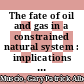 The fate of oil and gas in a constrained natural system : implications from the Bakken petroleum system [E-Book] /