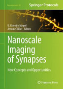 Nanoscale Imaging of Synapses [E-Book] : New Concepts and Opportunities /