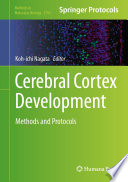 Cerebral Cortex Development [E-Book] : Methods and Protocols /