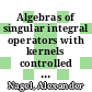 Algebras of singular integral operators with kernels controlled by multiple norms [E-Book] /