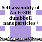 Self-assembly of Au-Fe3O4 dumbbell nanoparticles /