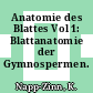 Anatomie des Blattes Vol 1: Blattanatomie der Gymnospermen.