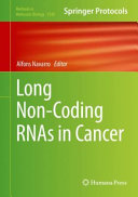 Long Non-Coding RNAs in Cancer [E-Book] /