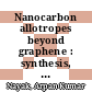 Nanocarbon allotropes beyond graphene : synthesis, properties and applications [E-Book] /