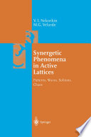 Synergetic Phenomena in Active Lattices [E-Book] : Patterns, Waves, Solitons, Chaos /