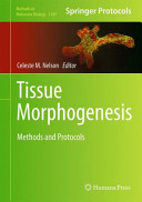 Tissue Morphogenesis [E-Book] : Methods and Protocols /