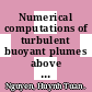 Numerical computations of turbulent buoyant plumes above liquid pool fires /