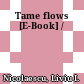 Tame flows [E-Book] /