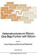 Heterostructures on silicon: one step further with silicon : NATO advanced research workshop on heterostructures on silicon: one step further with silicon: proceedings : Cargese, 15.05.88-20.05.88.