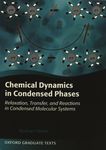 Chemical dynamics in condensed phases : relaxation, transfer and reactions in condensed molecular systems /