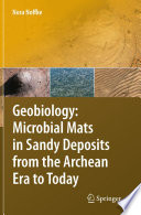 Geobiology [E-Book] : Microbial Mats in Sandy Deposits from the Archean Era to Today /