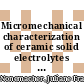 Micromechanical characterization of ceramic solid electrolytes for electrochemical storage devices [E-Book] /