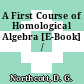 A First Course of Homological Algebra [E-Book] /