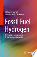 Fossil Fuel Hydrogen [E-Book] : Technical, Economic and Environmental Potential /