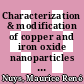 Characterization & modification of copper and iron oxide nanoparticles for application as absorber material in silicon based thin film solar cells /