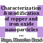 Characterization & modification of copper and iron oxide nanoparticles for application as absorber material in silicon based thin film solar cells [E-Book] /