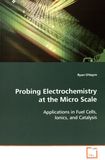 Probing electrochemistry at the micro scale : applications in fuel cells, ionics, and catalysis /