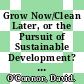 Grow Now/Clean Later, or the Pursuit of Sustainable Development? [E-Book] /
