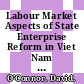 Labour Market Aspects of State Enterprise Reform in Viet Nam [E-Book] /
