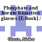 Phosphate and borate bioactive glasses [E-Book] /