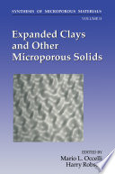 Expanded Clays and Other Microporous Solids [E-Book] /