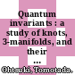 Quantum invariants : a study of knots, 3-manifolds, and their sets [E-Book] /