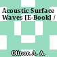 Acoustic Surface Waves [E-Book] /
