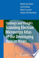 Steding’s and Virágh’s Scanning Electron Microscopy Atlas of the Developing Human Heart [E-Book] /