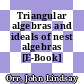 Triangular algebras and ideals of nest algebras [E-Book] /