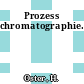 Prozess chromatographie.