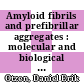 Amyloid fibrils and prefibrillar aggregates : molecular and biological properties [E-Book] /