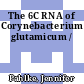 The 6C RNA of Corynebacterium glutamicum /